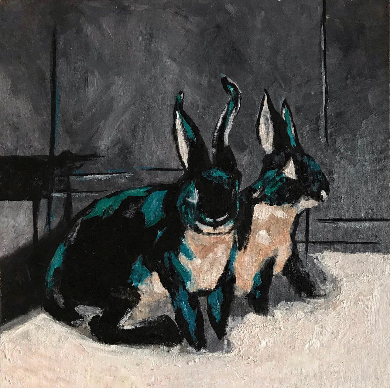 Black Rabbits