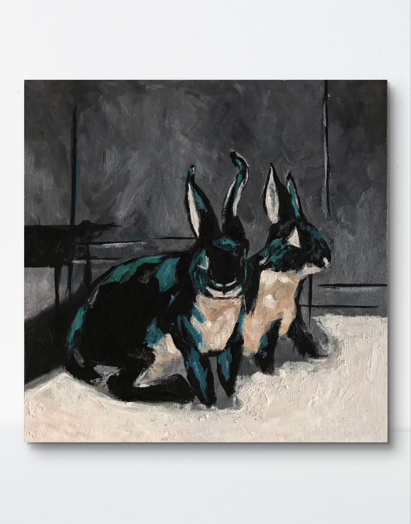 Black Rabbits